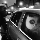 stringsofthestringsoflife avatar