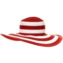 stripedsunhat avatar