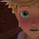 stripesandblossoms avatar