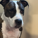 striving-to-feel avatar