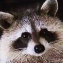 strogonoffpizza avatar