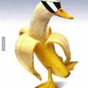 strollingsquid avatar