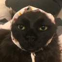 strongsoftboy avatar