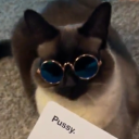 struckstarryeyed avatar