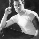 strugglesthebear avatar