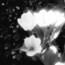 struggling-for-perfect avatar