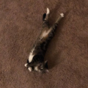 strugglingartistx-blog avatar