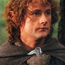 strugglingcarp avatar