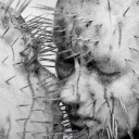 strugglingnihilist avatar