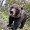 strugglingwithjointpain avatar