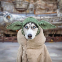 struwwelbaeumchen2 avatar