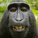 struwwelbaum2 avatar