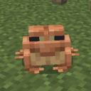 strwbrry-hmstr avatar