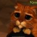 stubbornasacat avatar