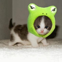 stuck-in-my-wonderland avatar