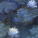 stuck-in-the-dresser avatar