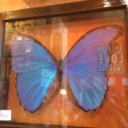 stuck-on-blue avatar