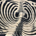 student-of-chaos avatar