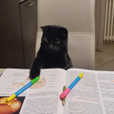 studentessa-socit avatar