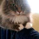 studentloanrepayments avatar