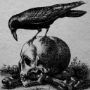 studentofwinterpoetry avatar