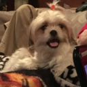 studentwithafuture avatar