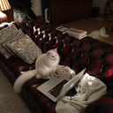 studies-revisited avatar