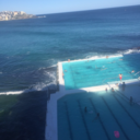 studiesfrombella avatar