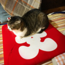 studiocurve2018 avatar