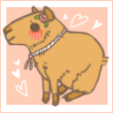 studious-capybara avatar