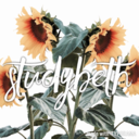 studybeth avatar