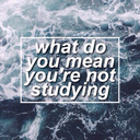 studyblraddict avatar