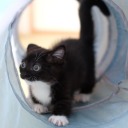 studyblrslytherin avatar