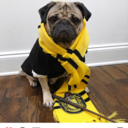 studybooksandtea avatar