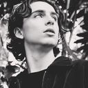 studychalamet avatar