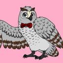 studydenowl avatar