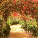 studyhardstayhappy avatar