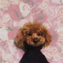 studying-ad-astra avatar