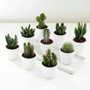 studying-hards avatar