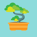 studyingbonsai avatar