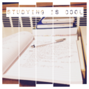 studyingiscool avatar