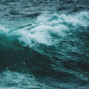 studyingohdear avatar