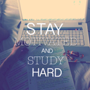 studymorebutcoffe avatar