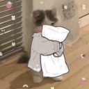 studyparanoyya avatar