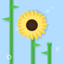 studysunflower-blog avatar