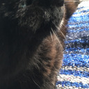 stuff-i-like666 avatar