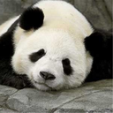 stuffandetcetera-blog avatar