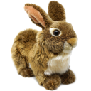 stuffed--rabbit avatar