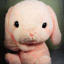 stuffiebunny avatar