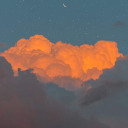 stufflizlikes avatar